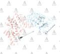 SUPAP TAKIM NQR 86 ENG. 4HK1 16V (IN-8 ÖLÇÜ:37x8x130.6  EX-8 ÖLÇÜ:37x8x130.2)