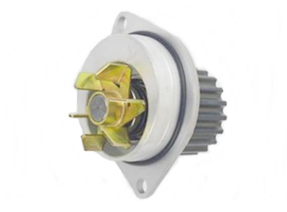 DFM SUCCE MOTOR DEVİRDAİM SU Pompası ORİJİNAL