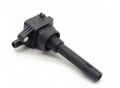 Ücretsiz Kargo CHERY CHANCE MOTOR ATEŞLEME BOBİNİ 1600 Motor Uzun Tip MALAYSİA