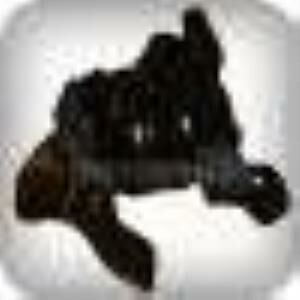 CİVİC SEDAN/HATCHBACK MOTOR TAKOZU OTOMATİK/MANUEL SOL 1.6 1996/1998