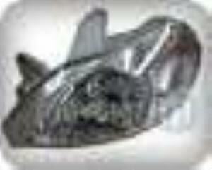 KIA RIO I FAR LAMBASI SOL BEYAZ MANUEL 2001/2002 MODEL İÇİN