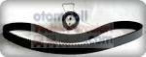 ROVER 220 TRİGER KAYIŞI SET