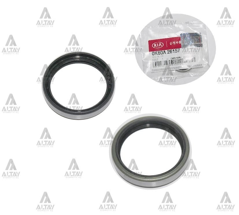 KEÇE TEKER PORYA (AKS) BONGO  97-04 (32*39*8) ARKA DIŞ