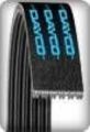6 DPK 0955 - AUDI - KIA - NISSAN - SEAT - SKODA - VOLKSWAGEN  - 6 KANALLI V KAYIŞ